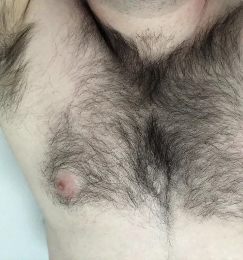 25 furry pits and chest