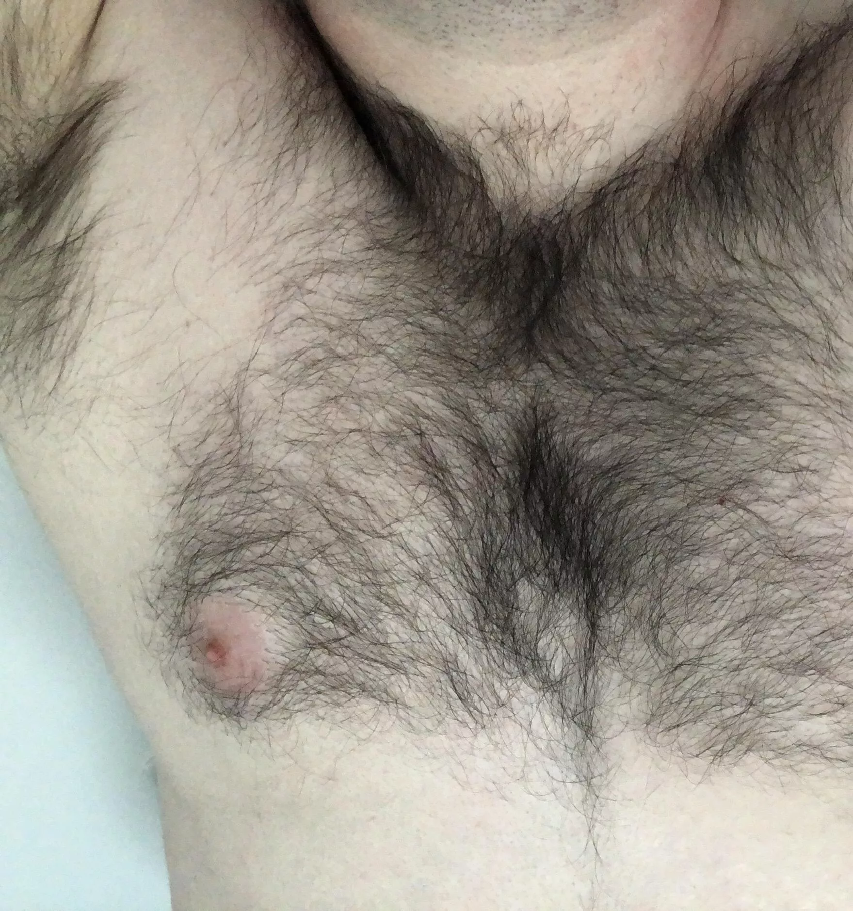 25 furry pits and chest