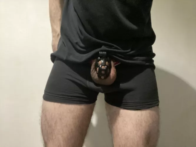 First week of locktober complete, day 39 for me now. This feels like my new normal