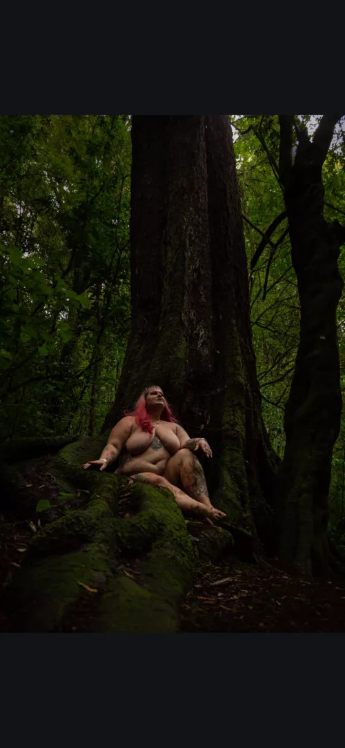 Found this tree on a nature trail