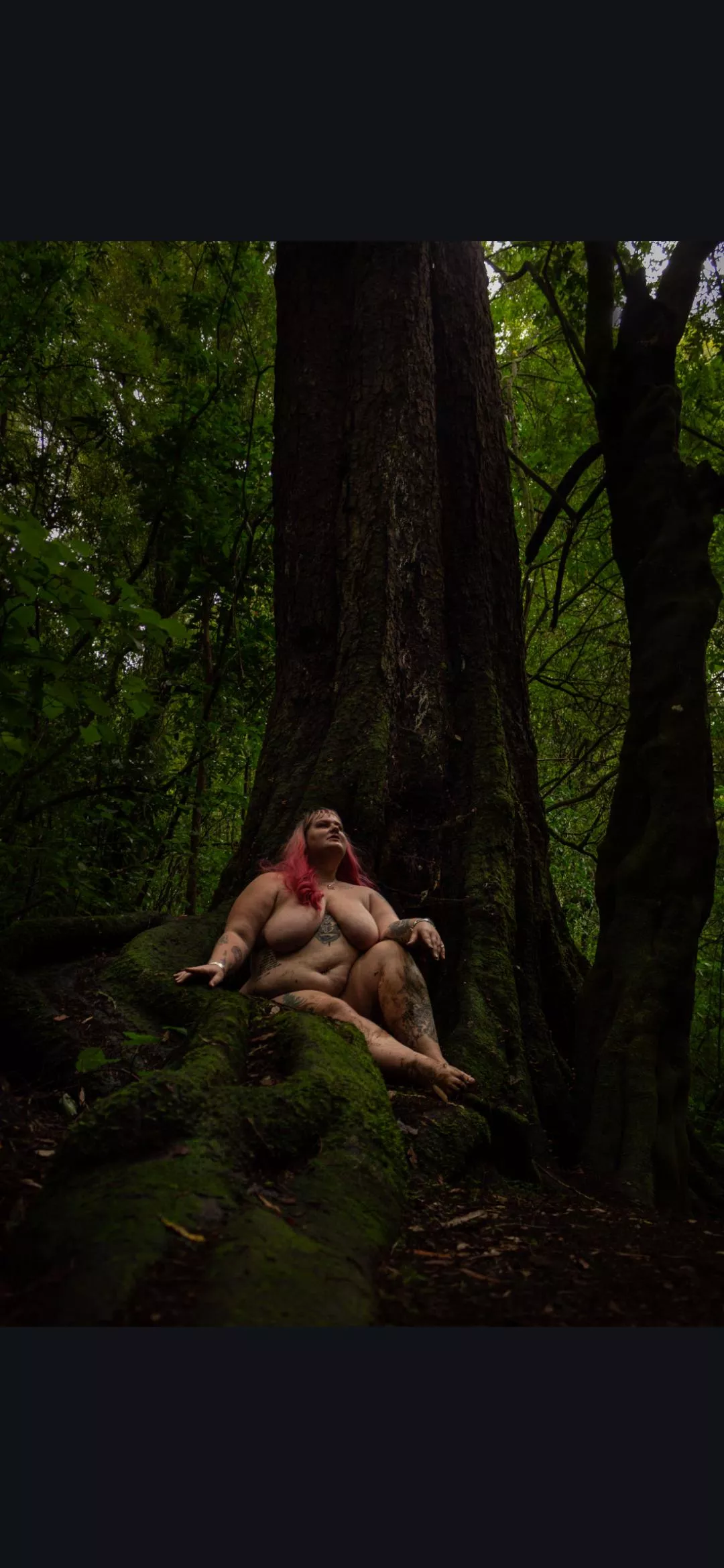 Found this tree on a nature trail