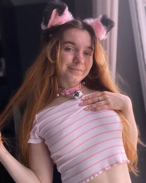 I'm trying to be a wild cat but I'm still a cute kitty at heart