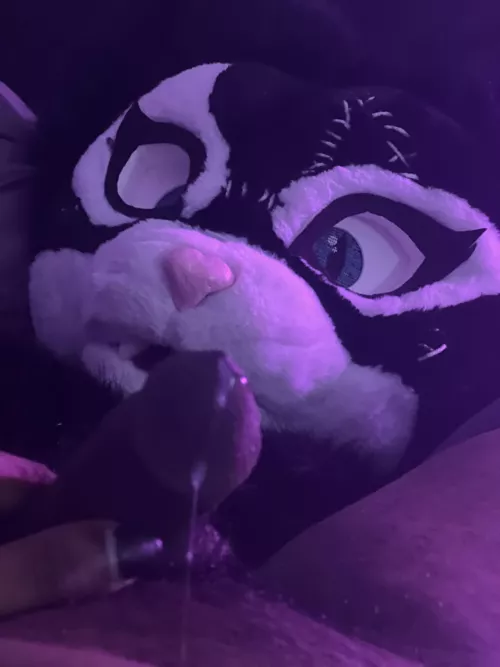 Kitty was a little excited (X/OF: KittyQuinn94) 