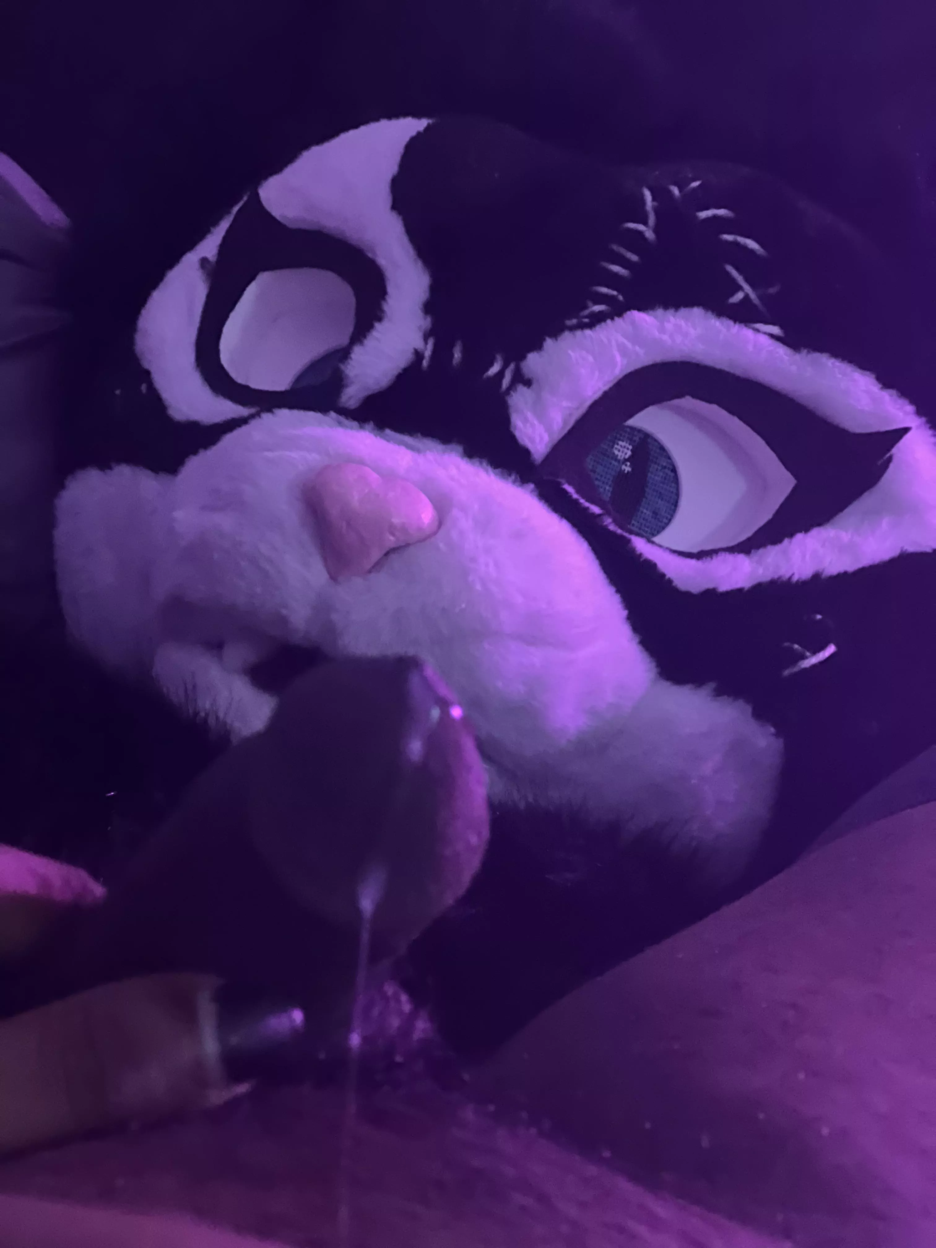 Kitty was a little excited (X/OF: KittyQuinn94) 