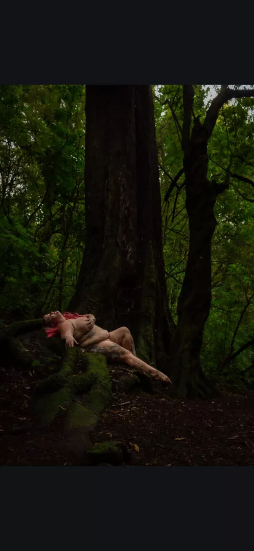 More from the bush walk