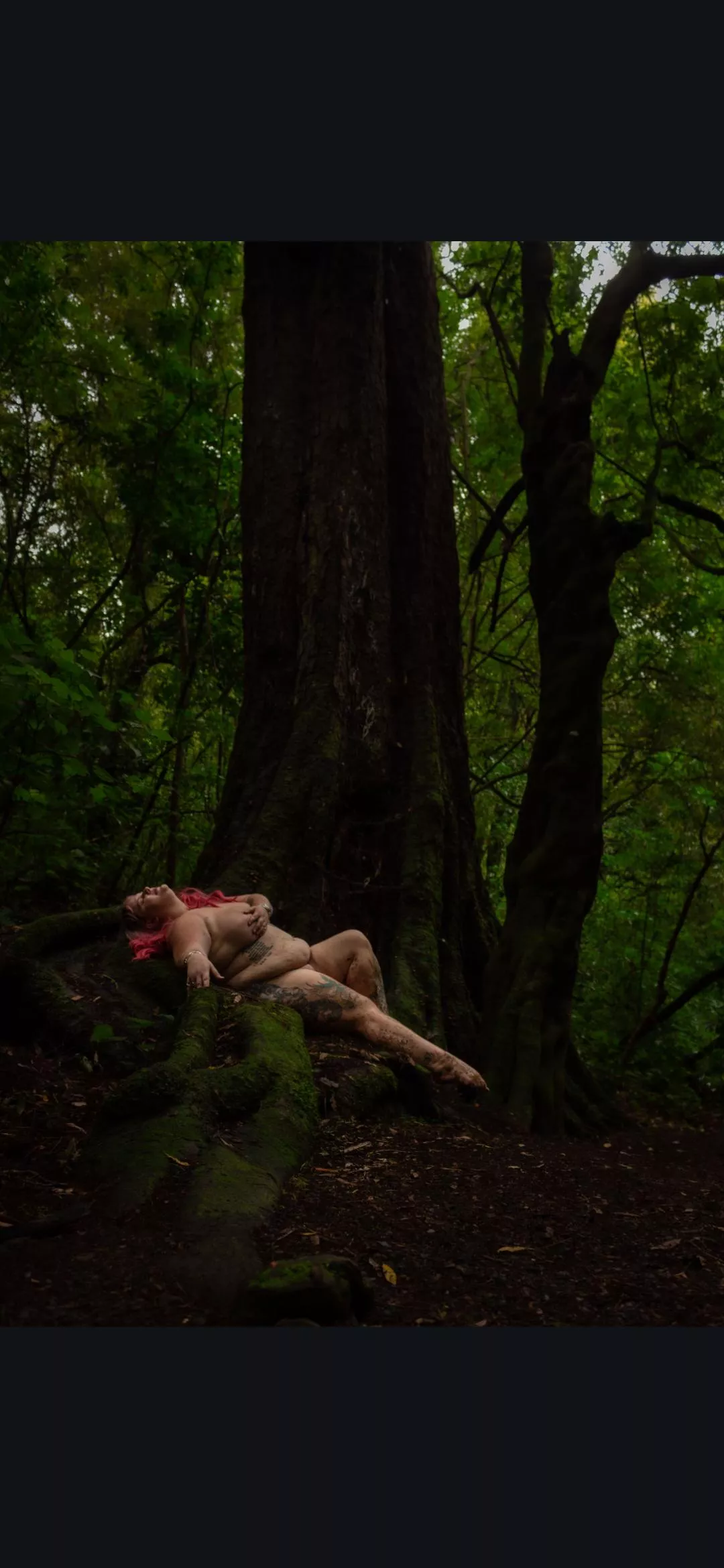 More from the bush walk