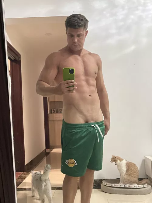 My cat does not approve