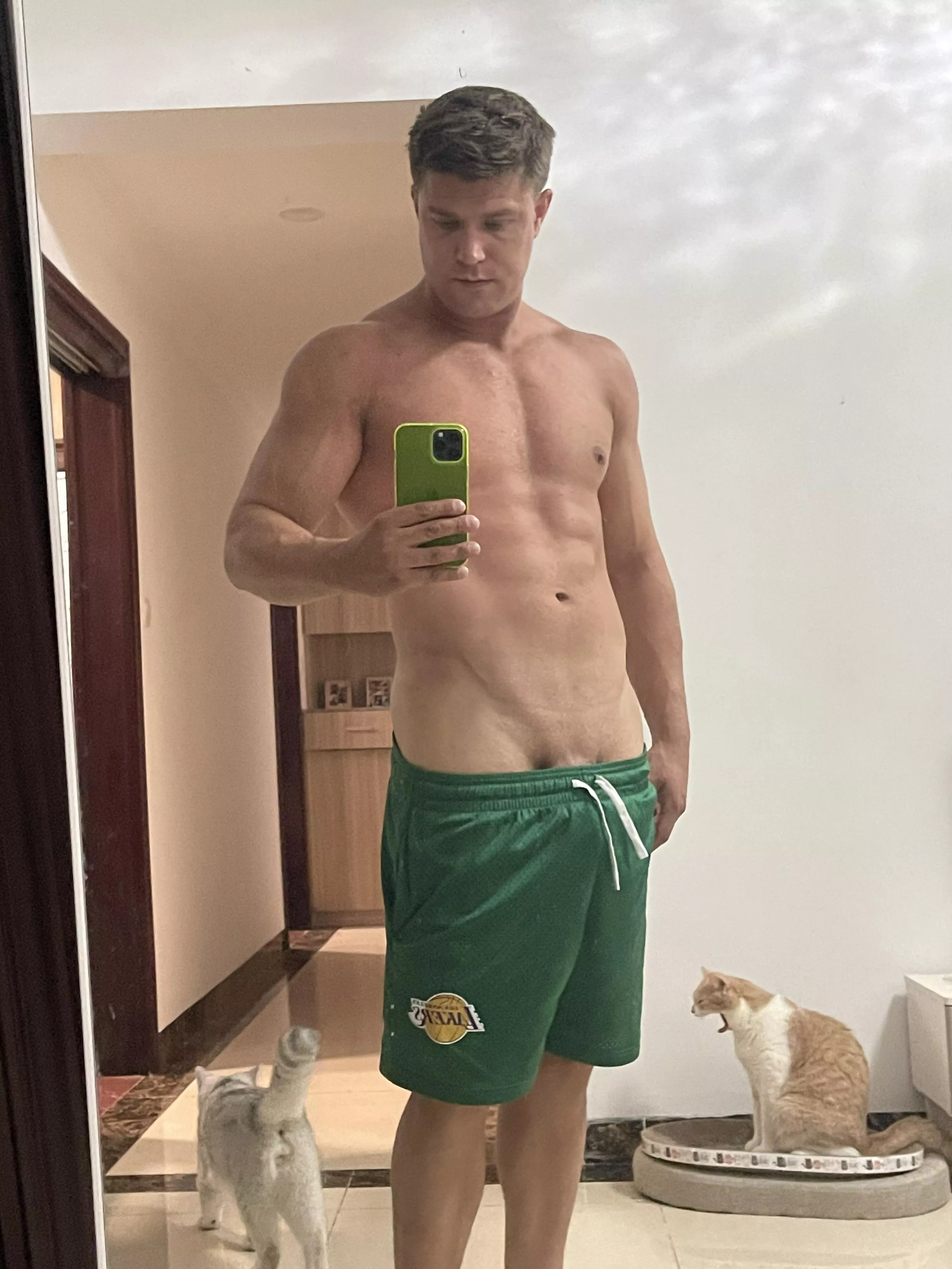 My cat does not approve