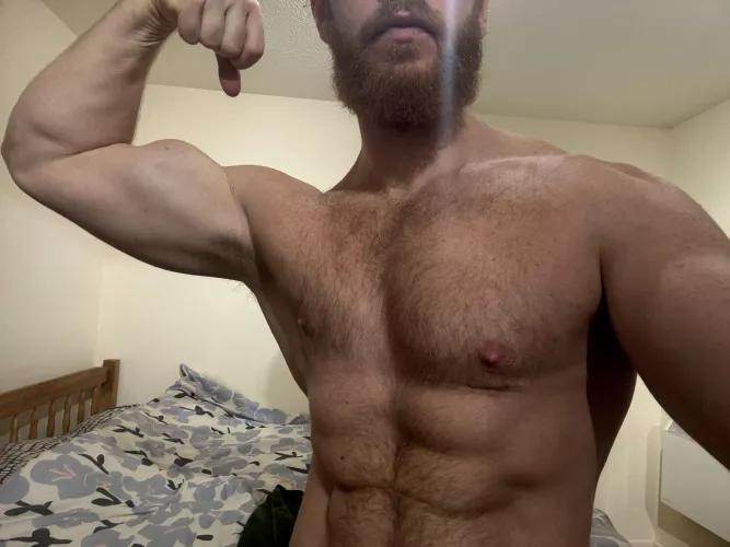 My Warm and sweaty pit needs an adequate amount of attention.