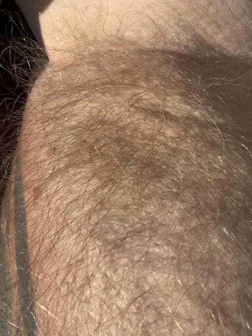 Well here it is. Up Close first time posting in this group!! Well tell me what you think!