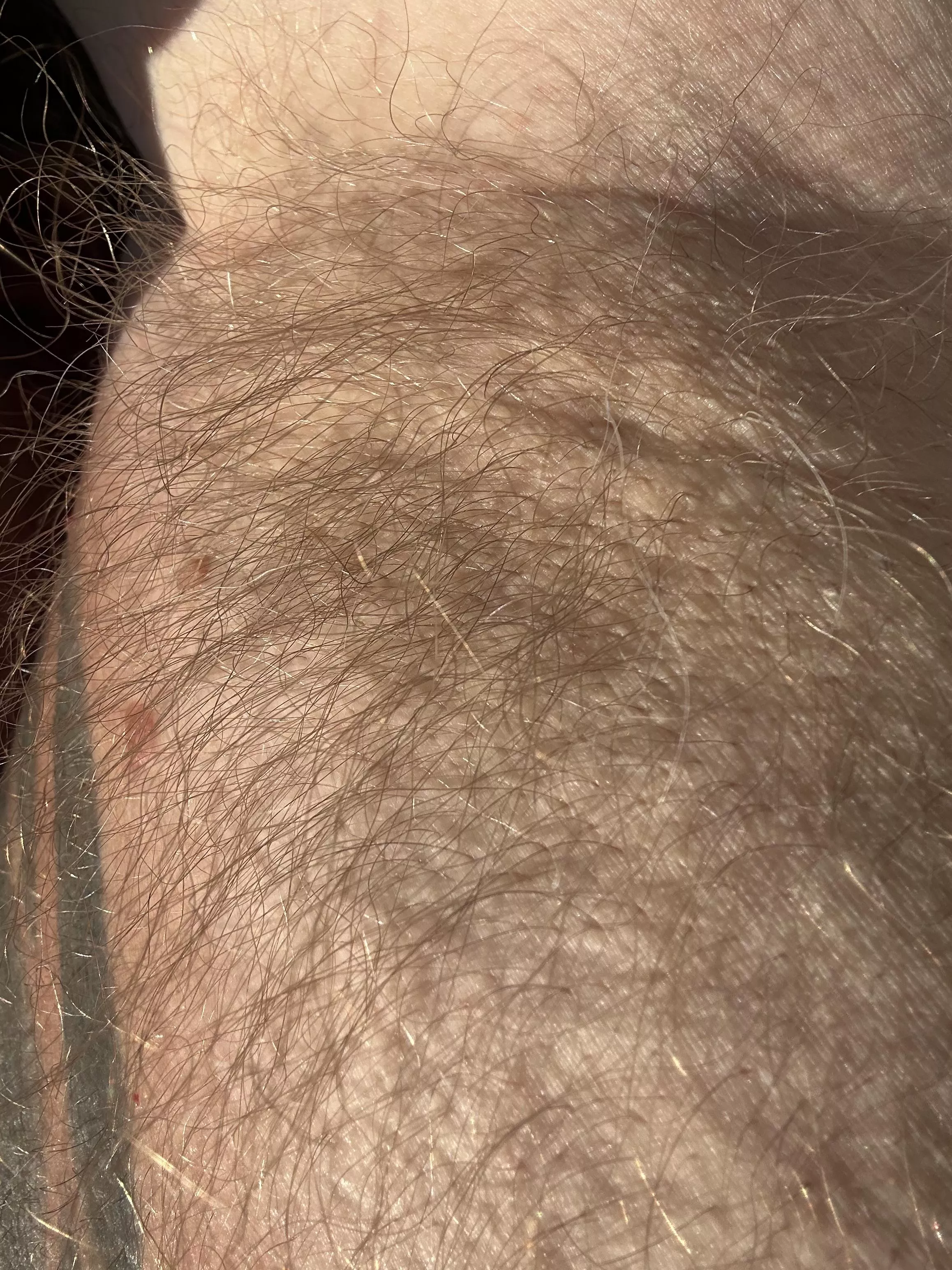 Well here it is. Up Close first time posting in this group!! Well tell me what you think!