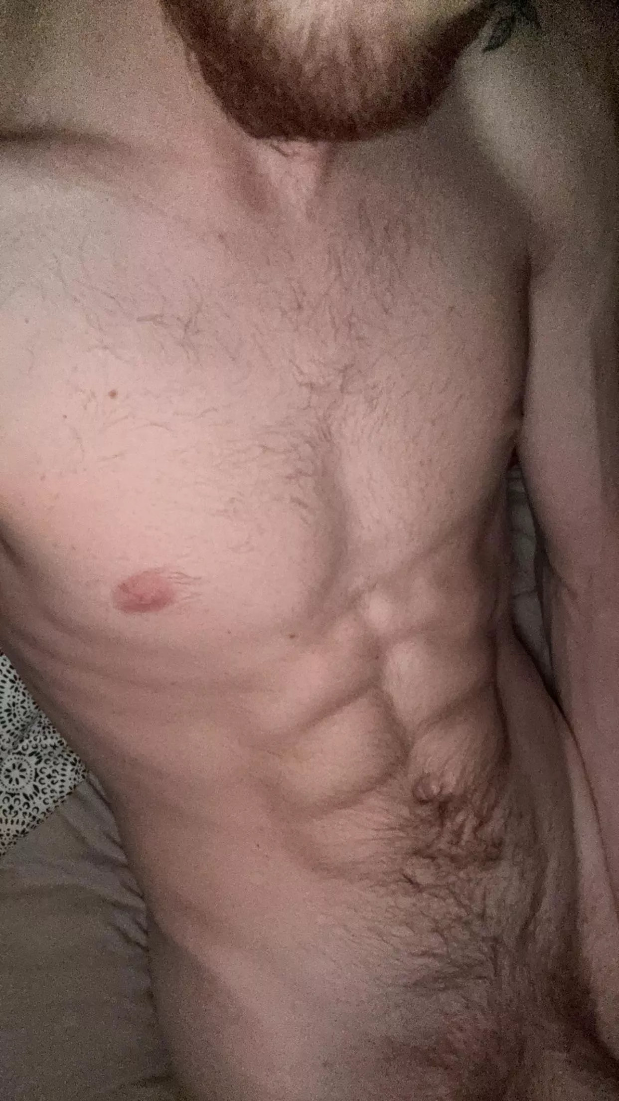 21m usa college bro stoned and horny (+dad bod) (+chill) hmu @throwaway206160