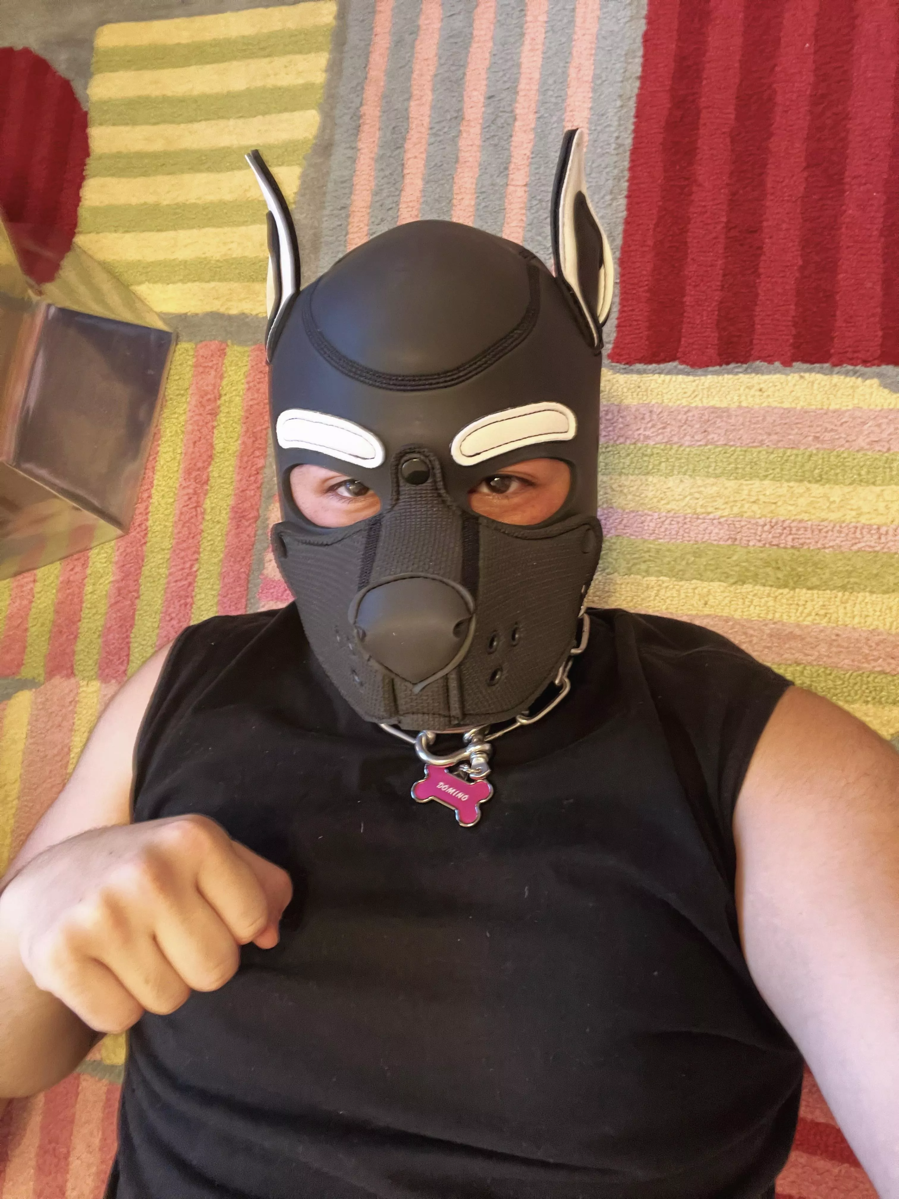 Am I a good boy? 🐶👉👈