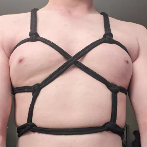 Another chest harness variation