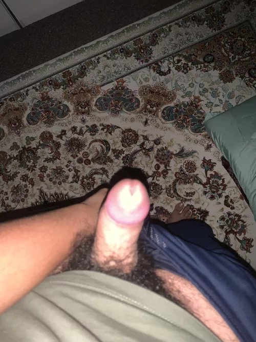 Anyone want my 19 year old dick