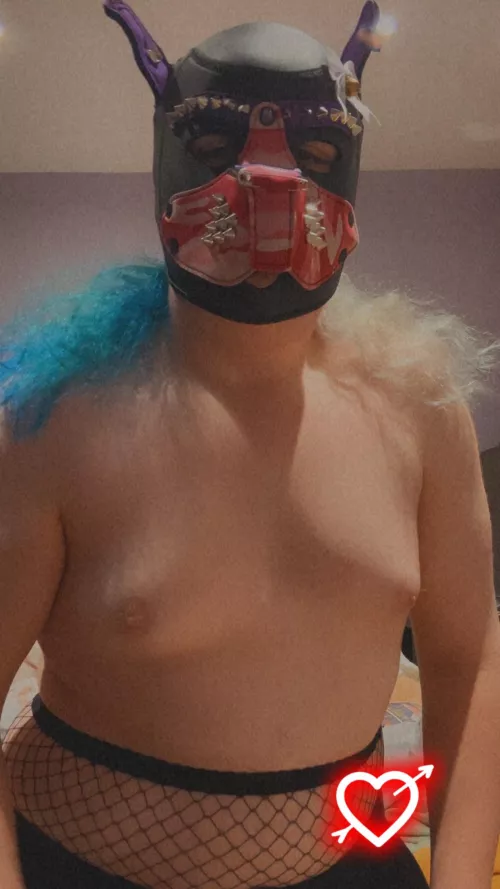 Awrf!~ First post here >\\\<