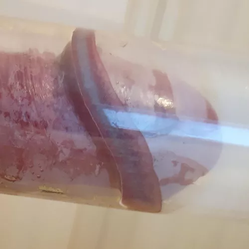 Corona piston engagement!