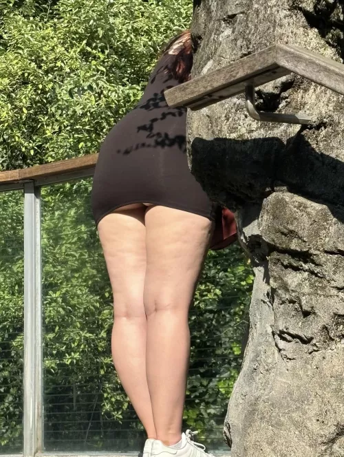 Dress rode up at the zoo…