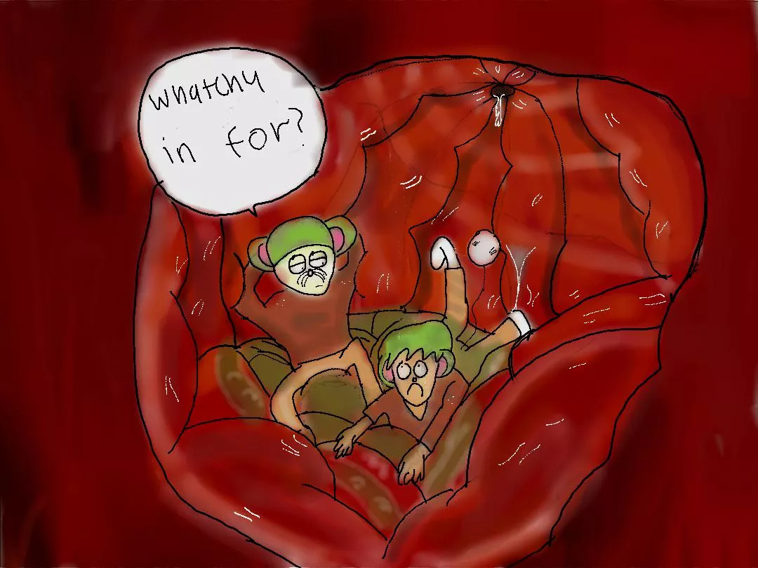 {image} {OC} Digestion Buddies