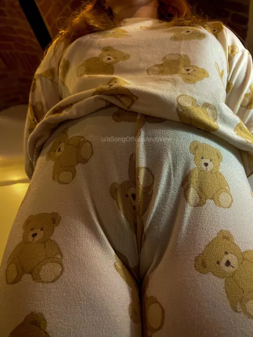 my bears love my camel