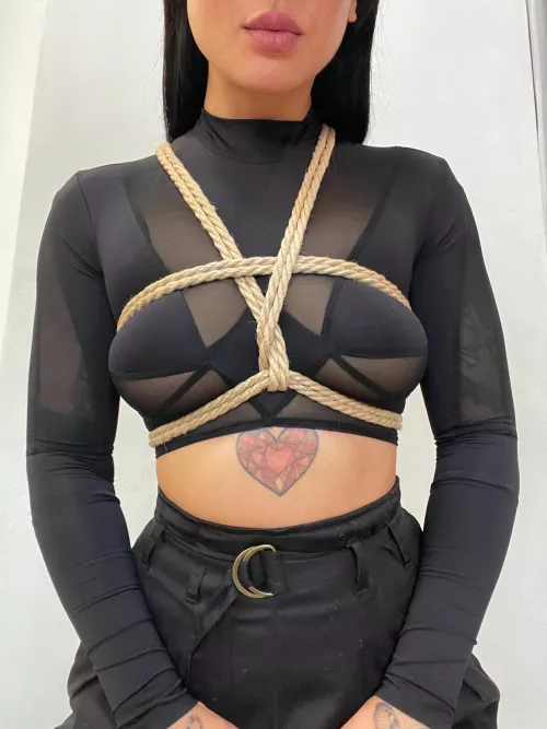 Simple chest harness to release a little stress today