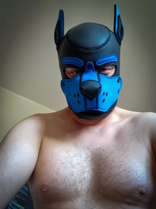 Woof! New dog in town! Woof woof awrooooo!