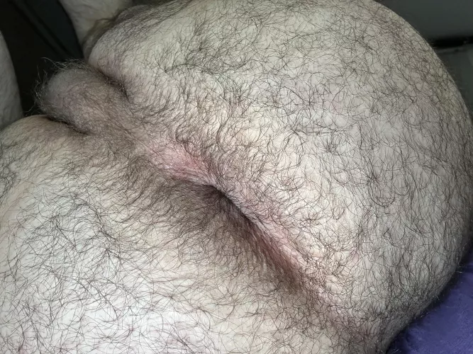 Nothing to see here...just another pic of my furry cheeks and hole 👀