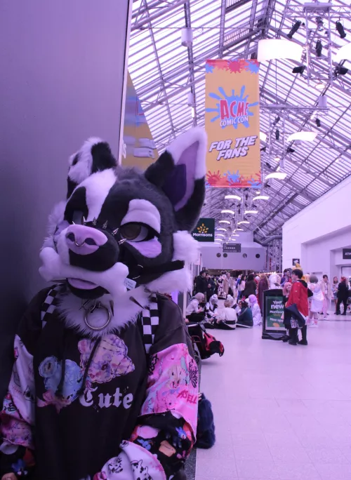 Puppy @ comiccon 🦴