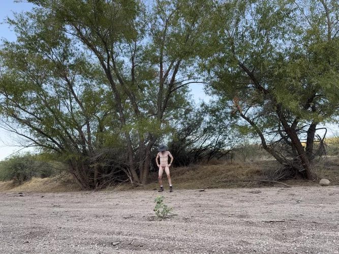 🌳Tree Pose Tuesday🌳