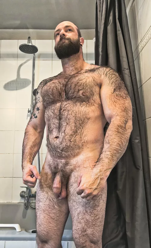 Wet bear 🐻💦