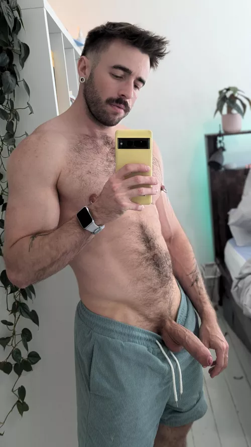 [33] How would you use my wood ? 😈