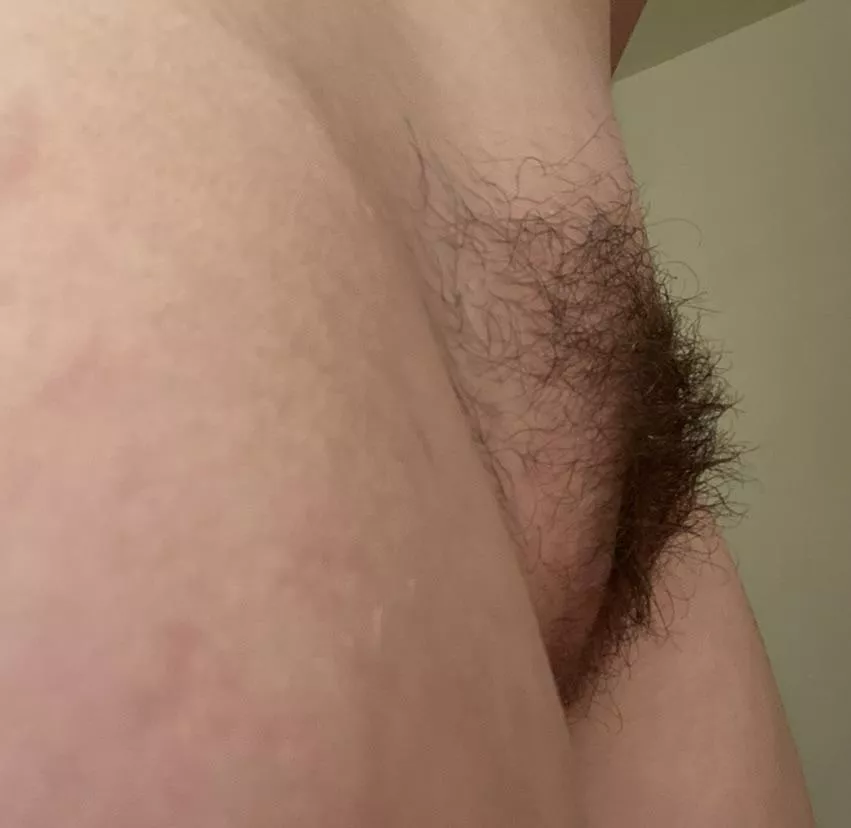 my bush is getting bigger