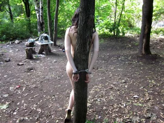 Picnic 