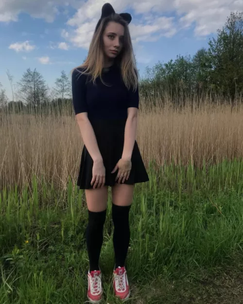 Do you think I could be your favorite cat