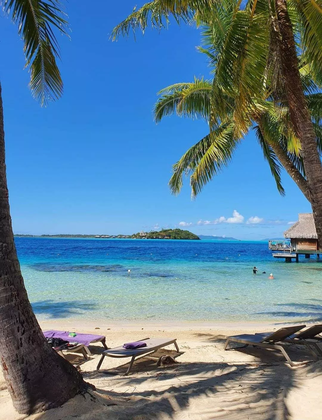 The Dominican Republic