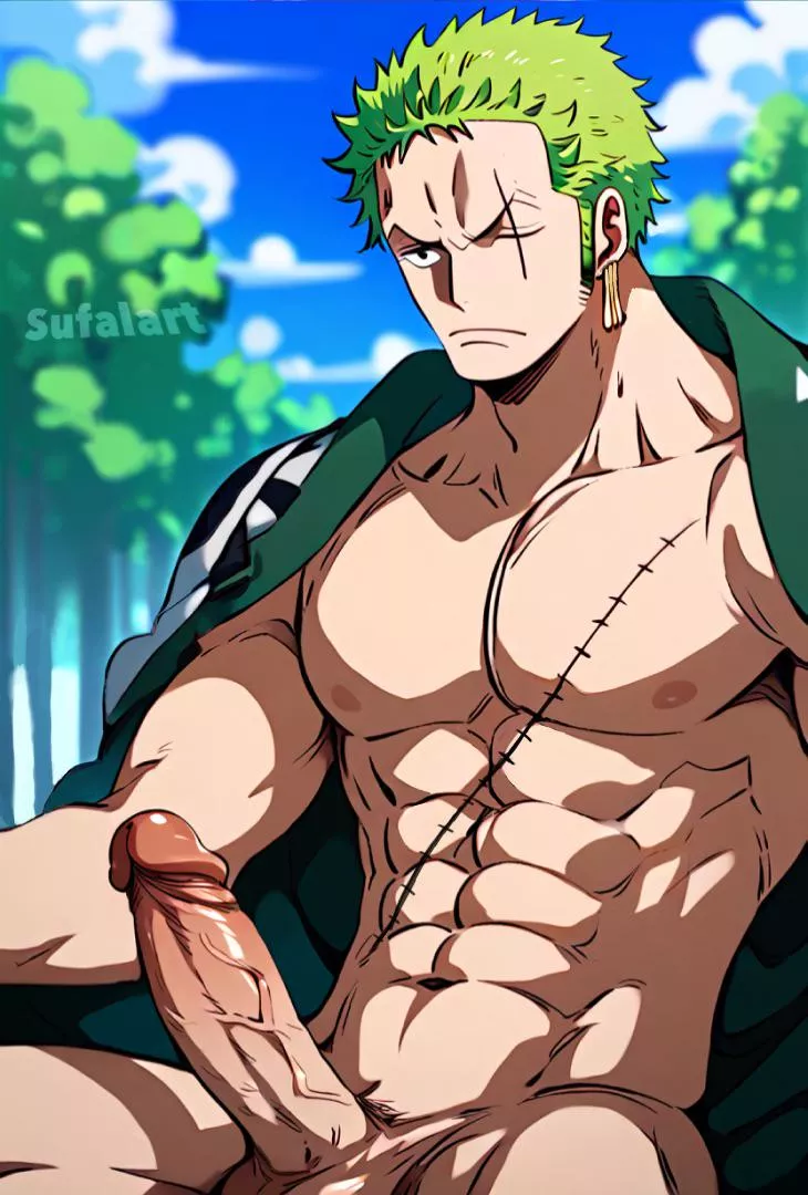 Zoro wants to train his sword with you ( sufalart)