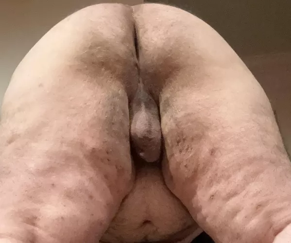 31 I’m super chubby and submissive, please use me
