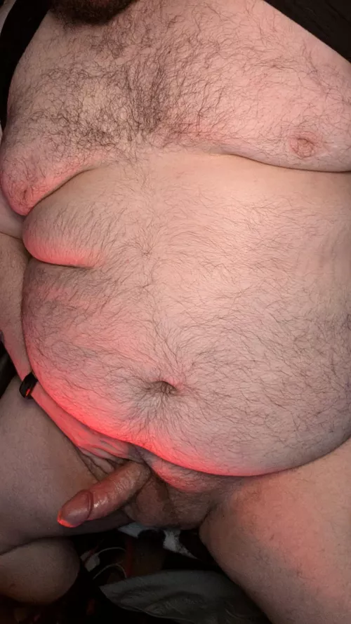 Anyone in need of breeding?