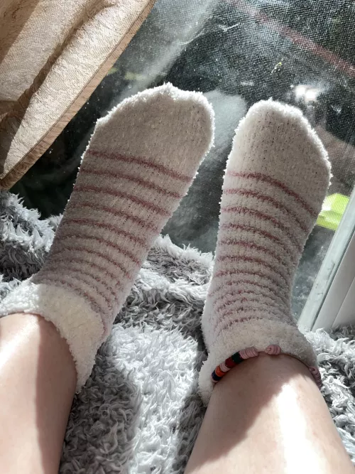 FF : ssweetfeet24