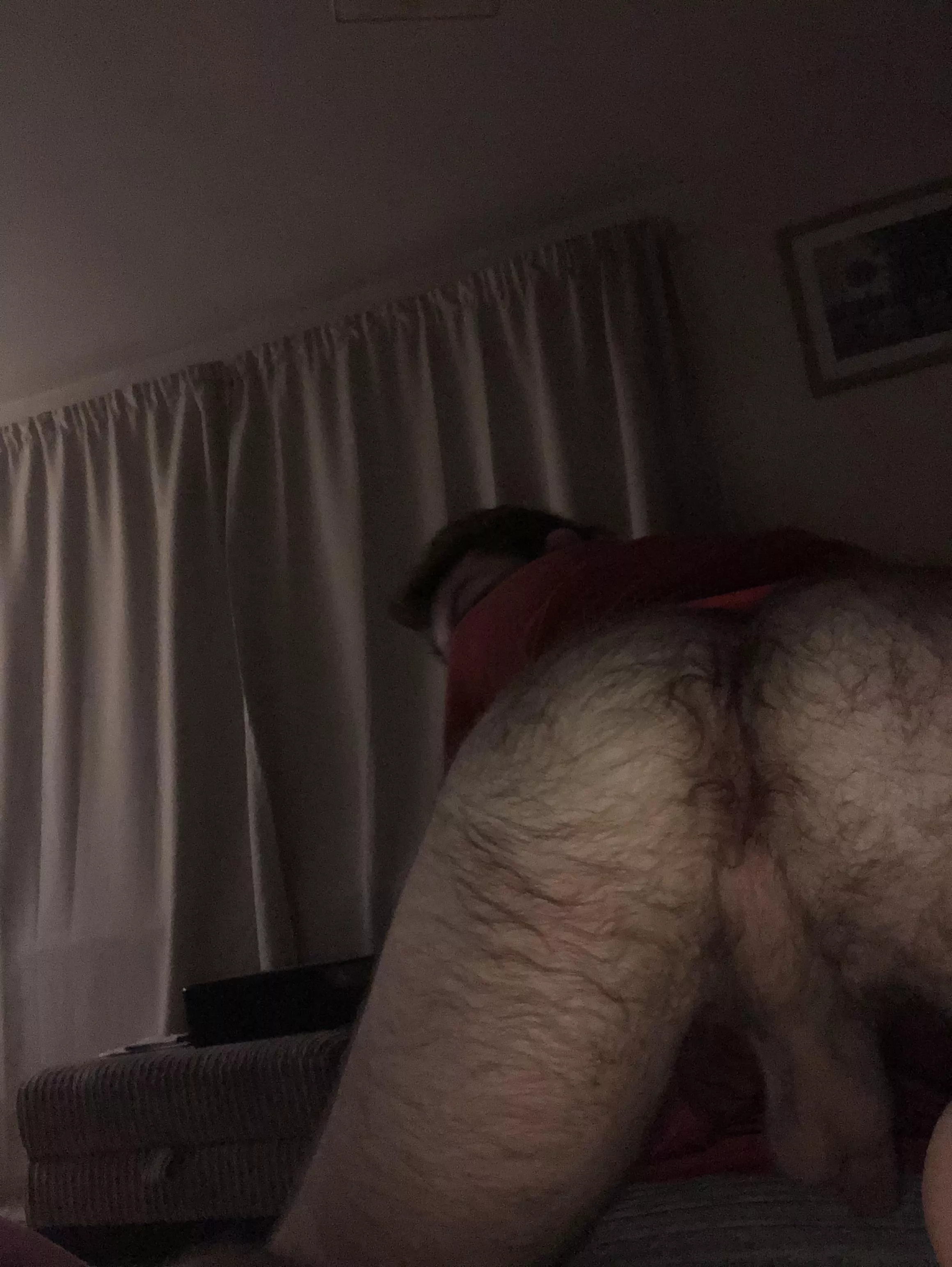 hairy ass 😉