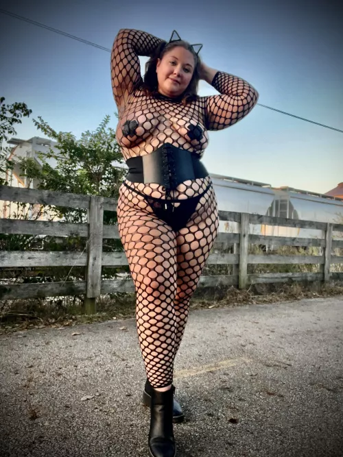 Kitty cats love to play and tease 