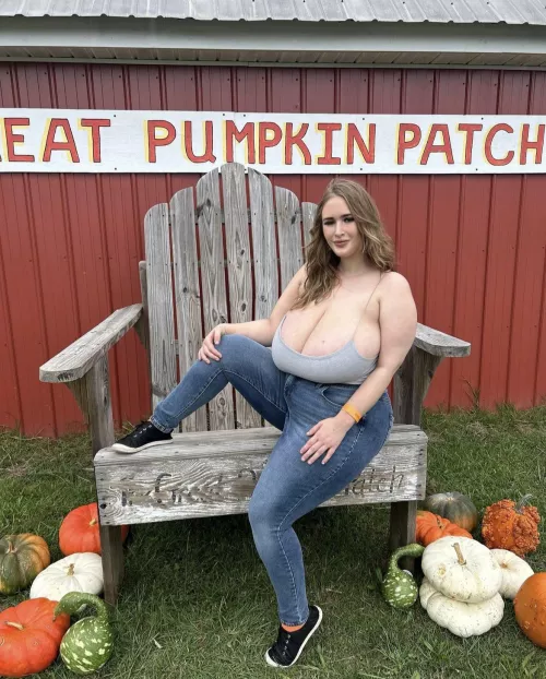 Pumpkin patch