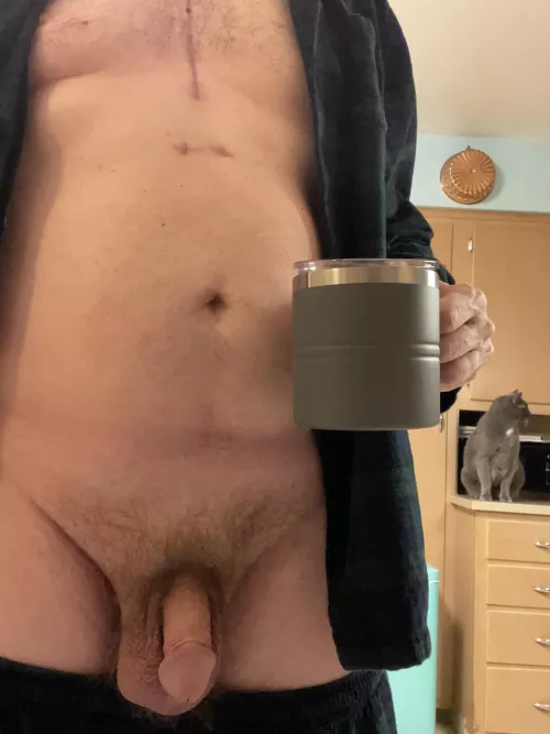 The first Saturday tartan