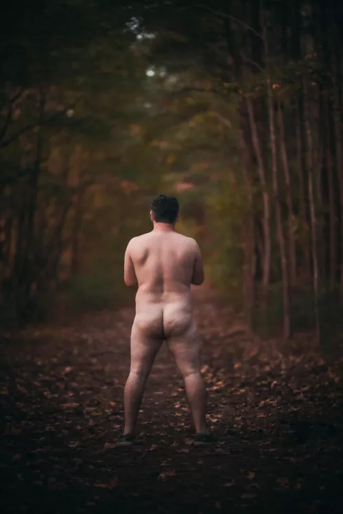 What a beautiful trail