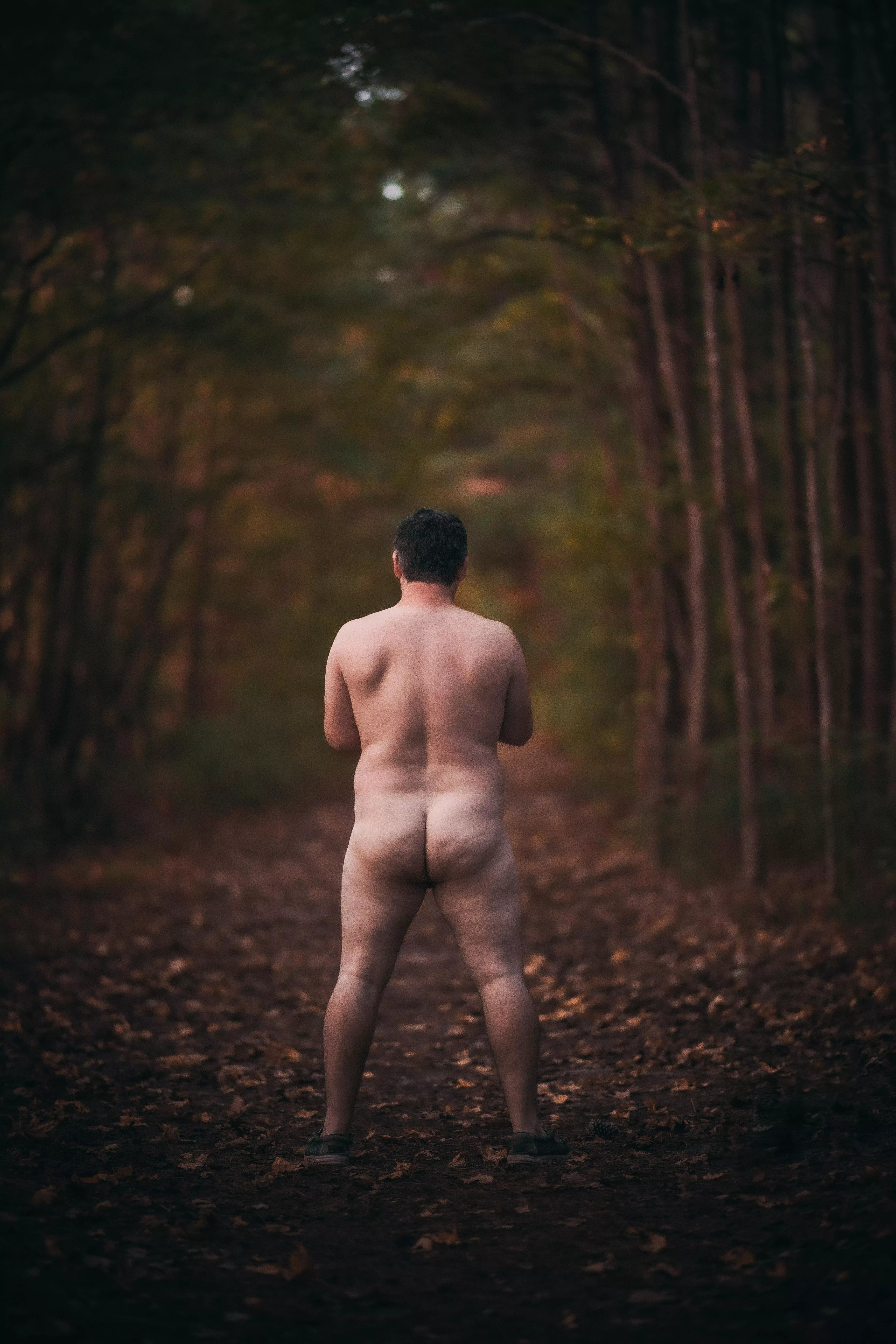 What a beautiful trail