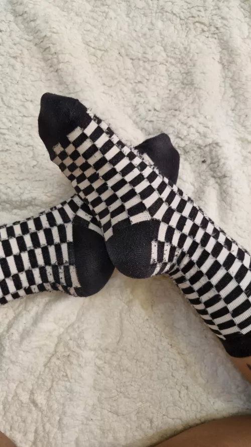 Where do you want them first? On your face or between your legs?  [f]