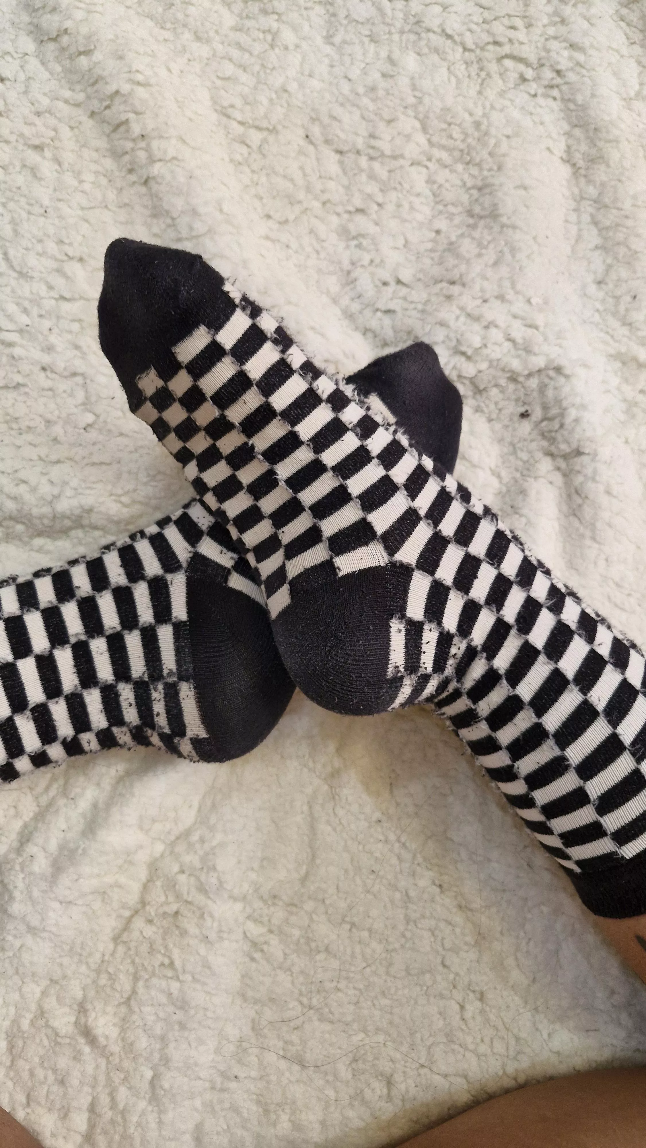 Where do you want them first? On your face or between your legs?  [f]