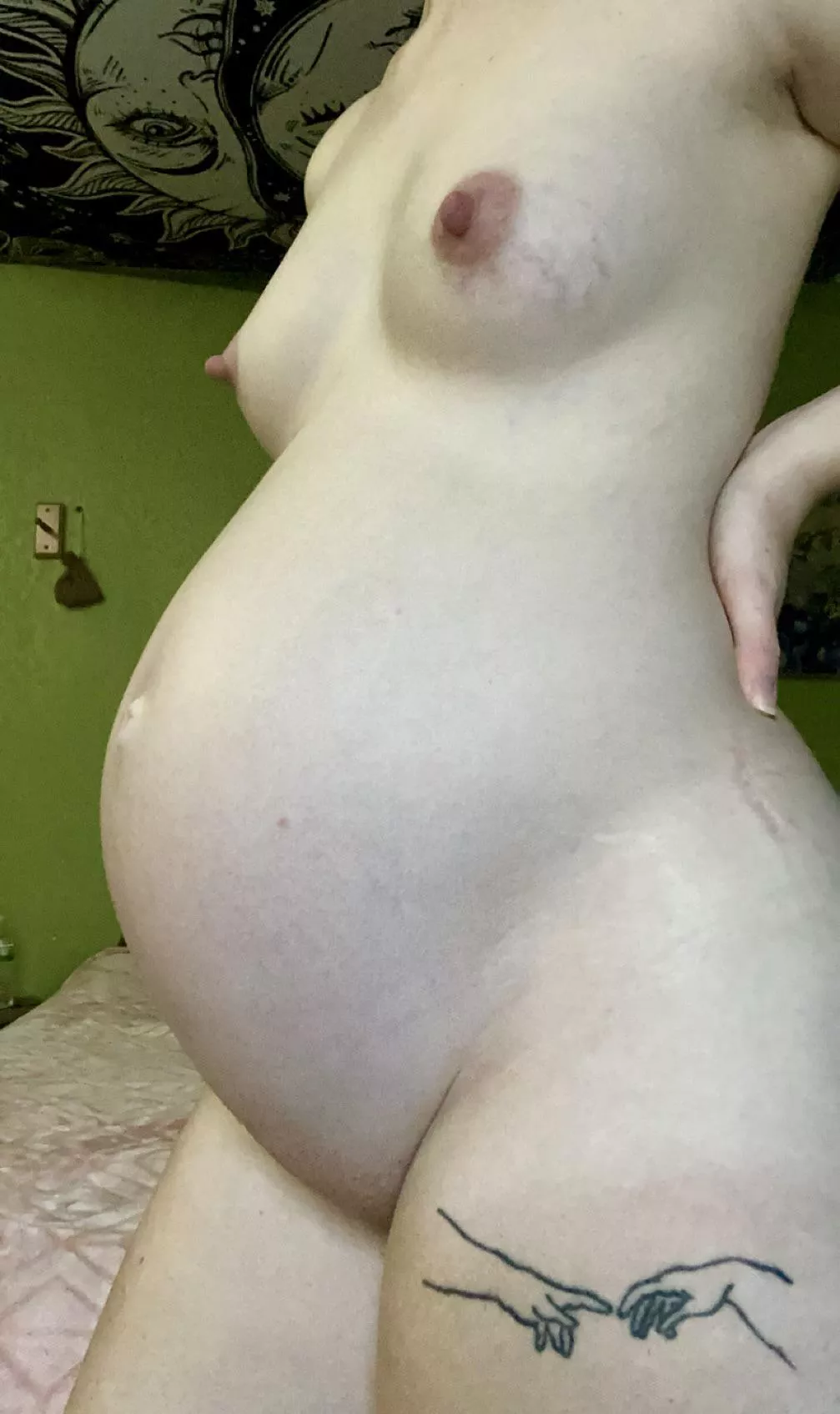 Wonder who wants to breed me next 😏😈