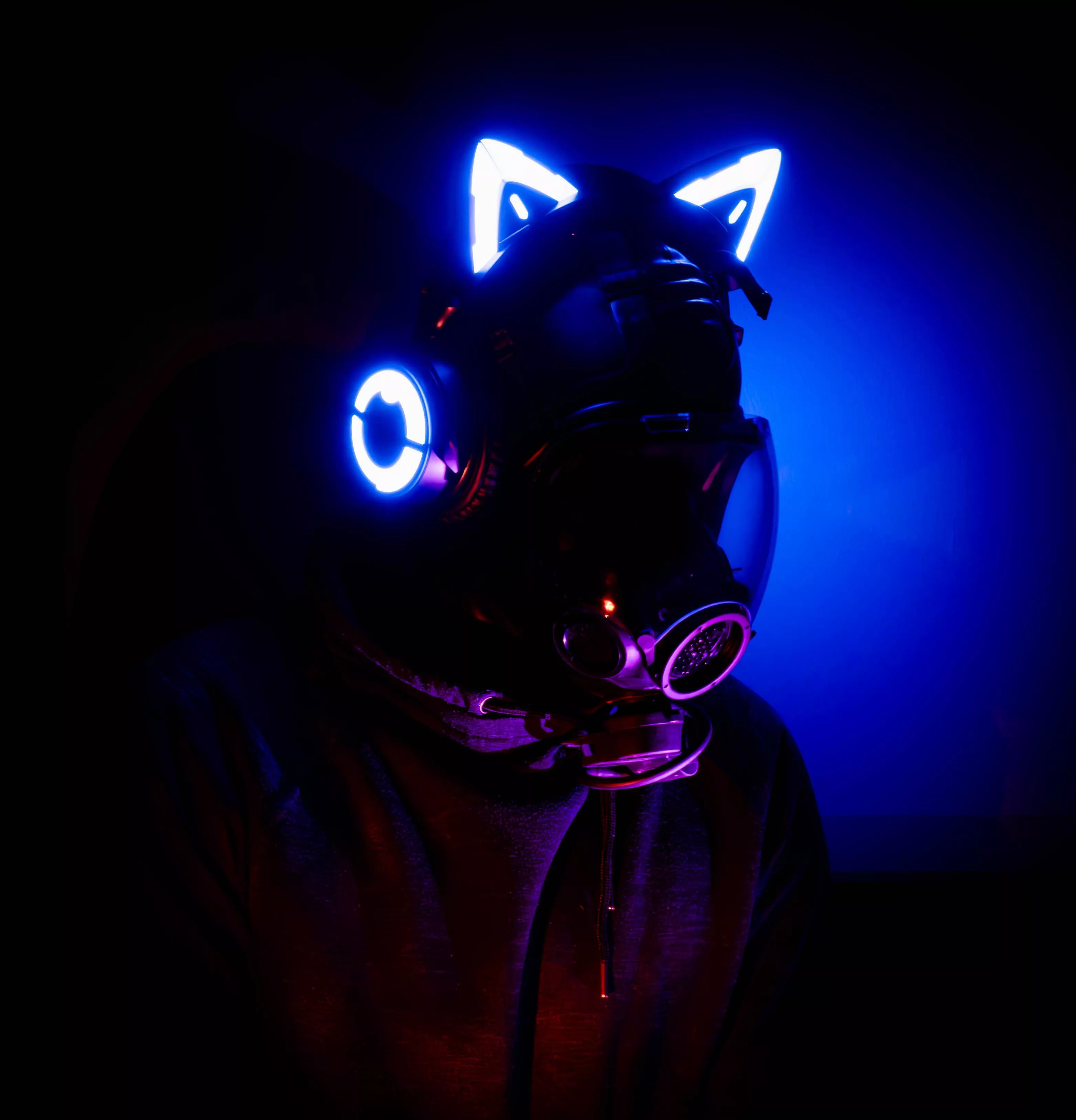 0730 :: Enjoying the reassuring humming of the Hive.