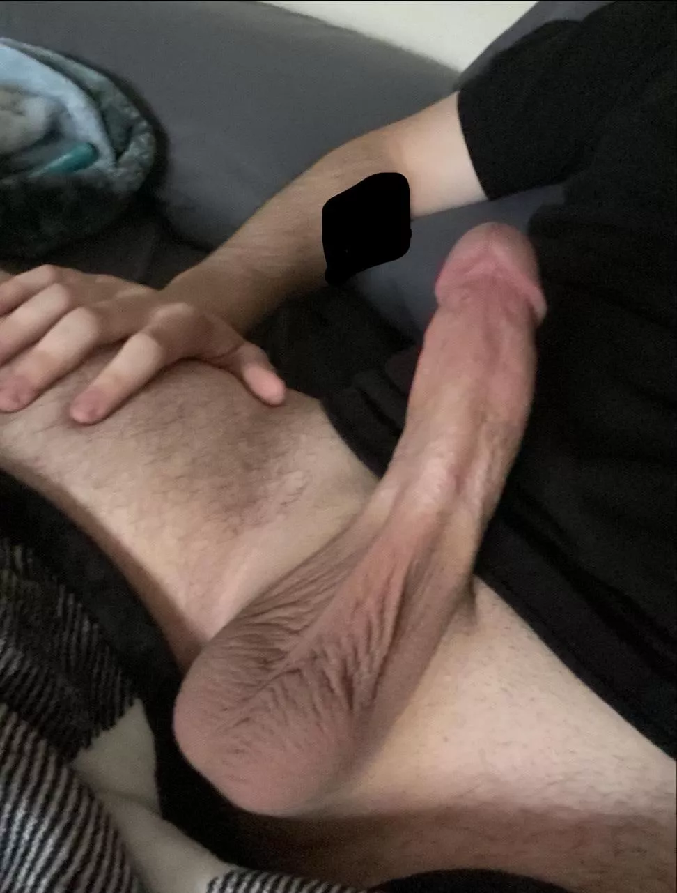 19 [M4FM] Young hung bull seeking couple, DM for more pics if interested! 
